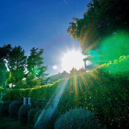 Villa La Vida Loca Seget Vranjica Exterior foto